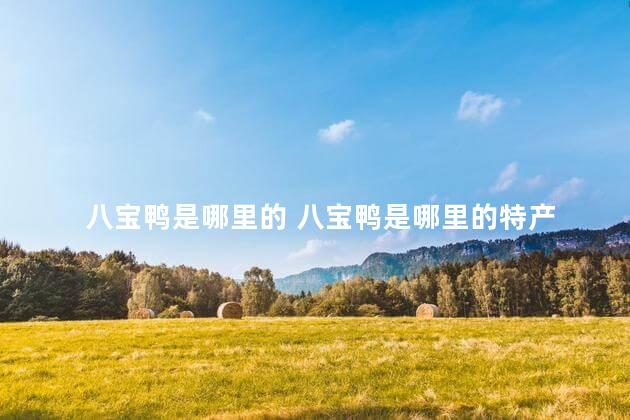 八宝鸭是哪里的 八宝鸭是哪里的特产